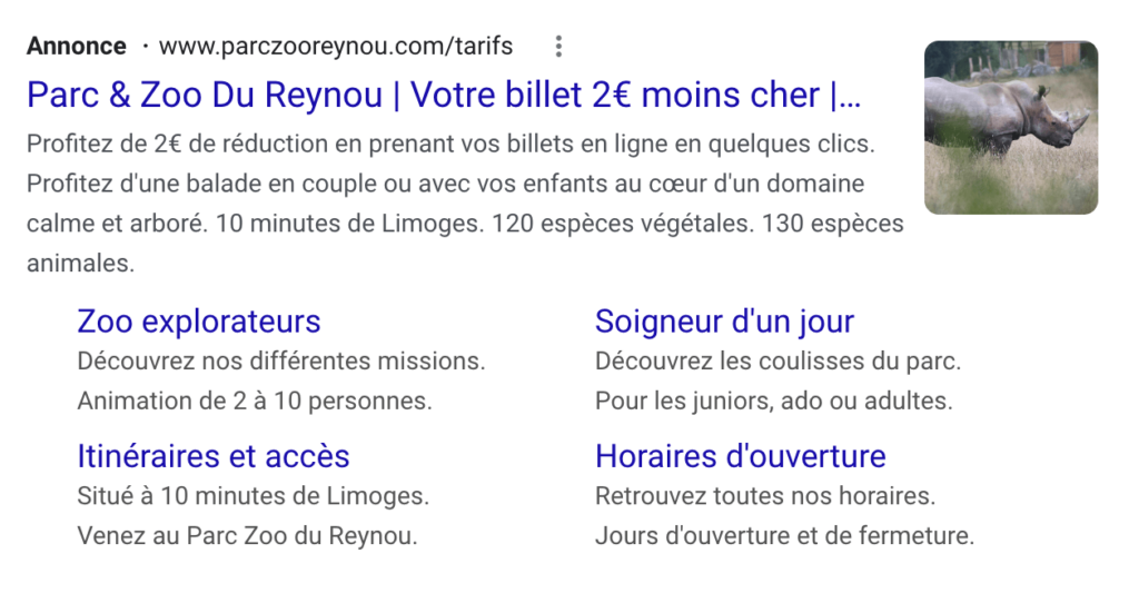 exemple-google-ads-reynou